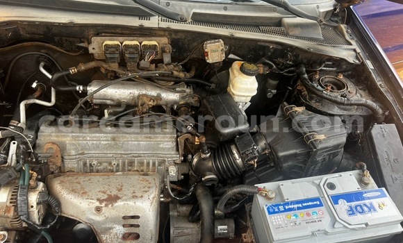 Acheter Occasion Voiture Ford Escape Bleu à Yaoundé, Central Cameroon Acheter Occasion Voiture Ford Escape Bleu à Yaoundé, Central Cameroon