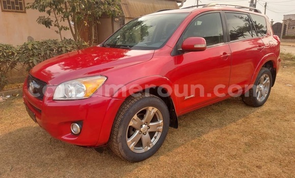 Buy Used Toyota RAV4 Red Car in Yaounde in Central Cameroon