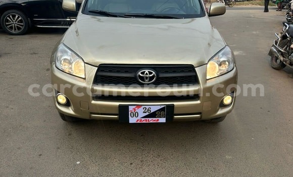 Buy Used Toyota RAV4 Other Car in Douala in Littoral Cameroon
