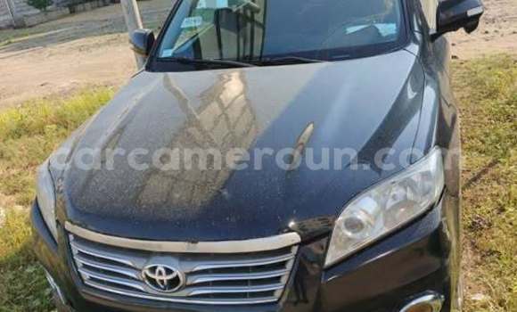 Buy Used Toyota Vanguard Other Car in Douala in Littoral Cameroon