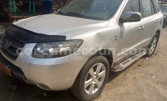 Buy Used Hyundai Santa Fe Other Car in Douala in Littoral Cameroon
