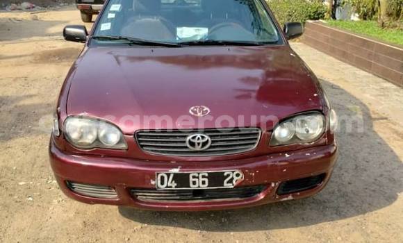Buy Used Toyota Corolla Other Car in Douala in Littoral Cameroon