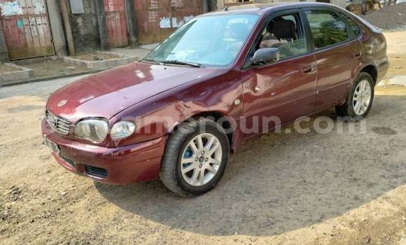 Acheter Occasion Voiture Toyota Corolla Autre à Douala, Littoral Cameroon Acheter Occasion Voiture Toyota Corolla Autre à Douala, Littoral Cameroon