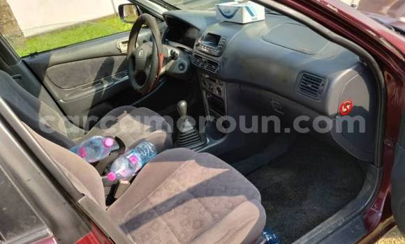 Acheter Occasion Voiture Toyota Corolla Autre à Douala, Littoral Cameroon Acheter Occasion Voiture Toyota Corolla Autre à Douala, Littoral Cameroon
