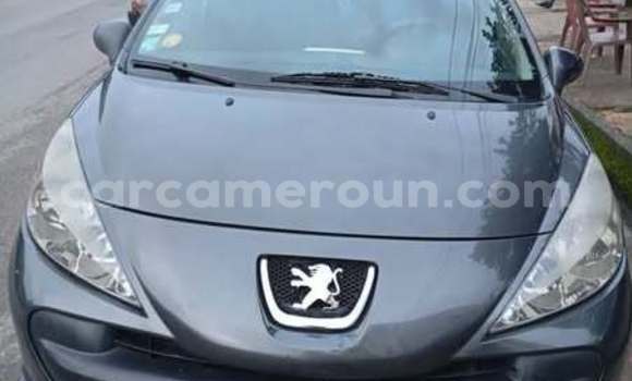 Sayi Na hannu Peugeot 207 Sauran Mota in Douala a Ƙasar Kamaru