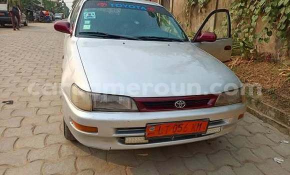 Buy Used Toyota Corolla Other Car in Douala in Littoral Cameroon