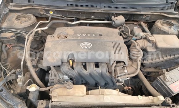 Buy Used Toyota Runx Black Car in Douala in Littoral Cameroon Buy Used Toyota Runx Black Car in Douala in Littoral Cameroon