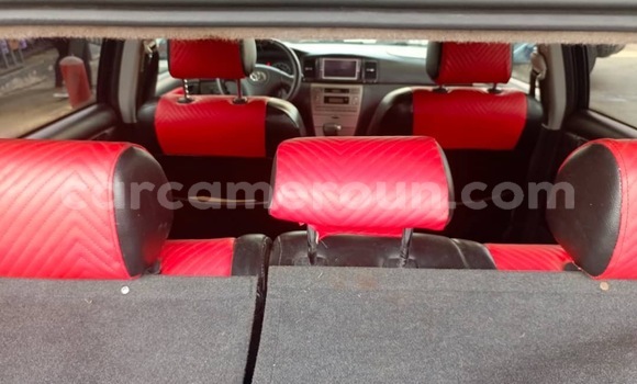 Buy Used Toyota Runx Black Car in Douala in Littoral Cameroon Buy Used Toyota Runx Black Car in Douala in Littoral Cameroon