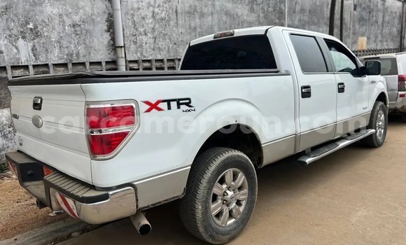 Sayi Na hannu Ford F–150 White Mota in Douala a Ƙasar Kamaru Sayi Na hannu Ford F–150 White Mota in Douala a Ƙasar Kamaru