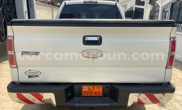 Sayi Na hannu Ford F–150 White Mota in Douala a Ƙasar Kamaru Sayi Na hannu Ford F–150 White Mota in Douala a Ƙasar Kamaru