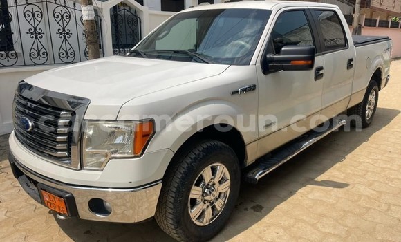 Sayi Na hannu Ford F–150 White Mota in Douala a Ƙasar Kamaru Sayi Na hannu Ford F–150 White Mota in Douala a Ƙasar Kamaru