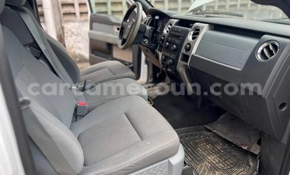 Sayi Na hannu Ford F–150 White Mota in Douala a Ƙasar Kamaru Sayi Na hannu Ford F–150 White Mota in Douala a Ƙasar Kamaru