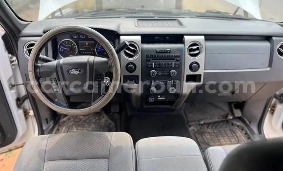 Sayi Na hannu Ford F–150 White Mota in Douala a Ƙasar Kamaru Sayi Na hannu Ford F–150 White Mota in Douala a Ƙasar Kamaru