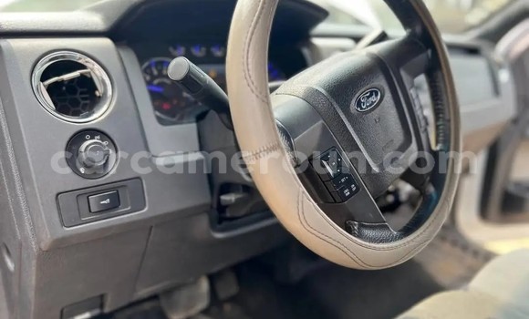 Sayi Na hannu Ford F–150 White Mota in Douala a Ƙasar Kamaru Sayi Na hannu Ford F–150 White Mota in Douala a Ƙasar Kamaru