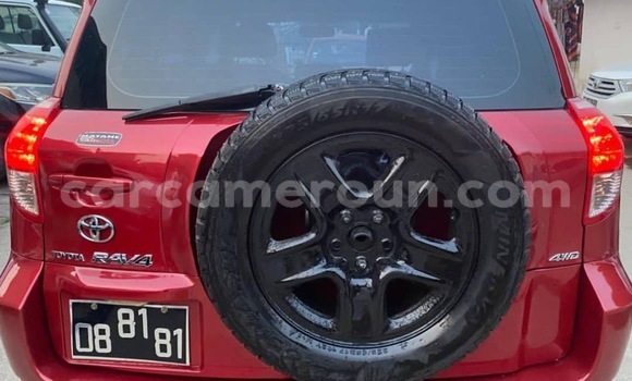 Buy Import Toyota RAV4 Red Car in Douala in Littoral Cameroon Buy Import Toyota RAV4 Red Car in Douala in Littoral Cameroon