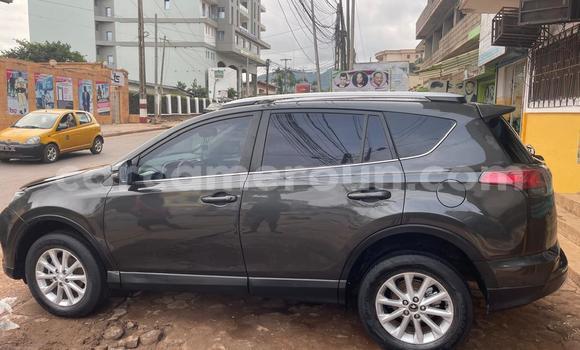 Acheter Occasion Voiture Toyota RAV4 Noir à Douala, Littoral Cameroon Acheter Occasion Voiture Toyota RAV4 Noir à Douala, Littoral Cameroon