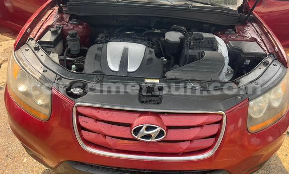 Acheter Occasion Voiture Hyundai Santa Fe Rouge à Douala, Littoral Cameroon Acheter Occasion Voiture Hyundai Santa Fe Rouge à Douala, Littoral Cameroon