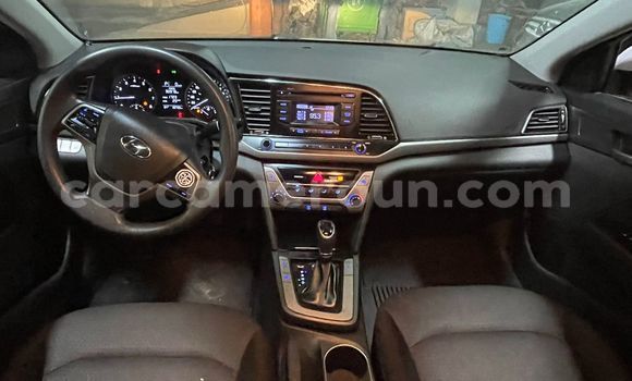 Buy Used Hyundai Elantra White Car in Douala in Littoral Cameroon Buy Used Hyundai Elantra White Car in Douala in Littoral Cameroon