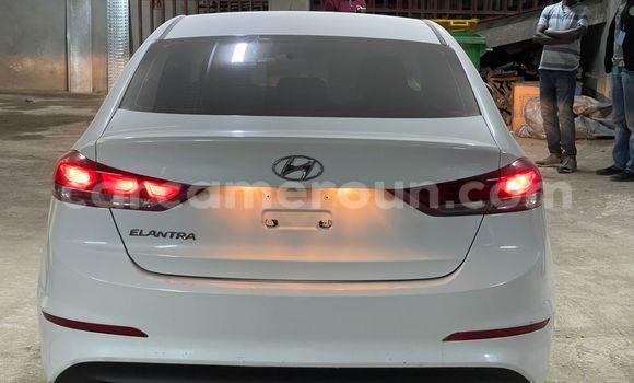 Buy Used Hyundai Elantra White Car in Douala in Littoral Cameroon Buy Used Hyundai Elantra White Car in Douala in Littoral Cameroon