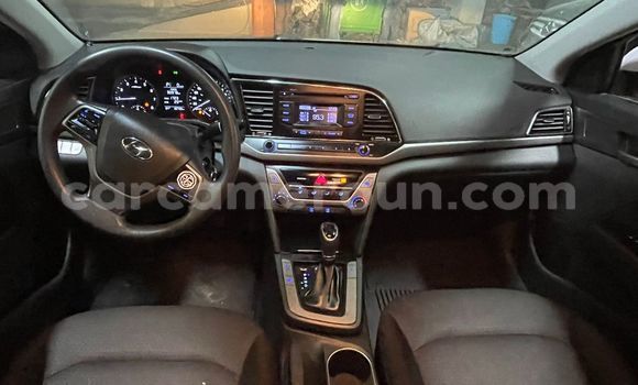 Buy Used Hyundai Elantra White Car in Douala in Littoral Cameroon Buy Used Hyundai Elantra White Car in Douala in Littoral Cameroon