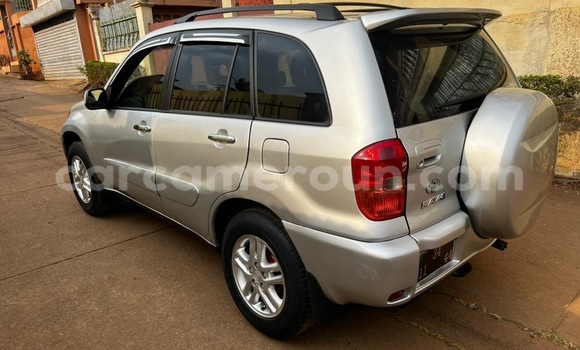 Buy Used Toyota RAV4 Silver Car in Yaounde in Central Cameroon Buy Used Toyota RAV4 Silver Car in Yaounde in Central Cameroon