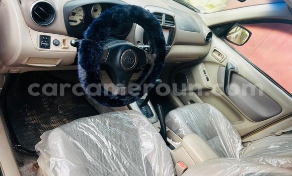 Buy Used Toyota RAV4 Silver Car in Yaounde in Central Cameroon Buy Used Toyota RAV4 Silver Car in Yaounde in Central Cameroon