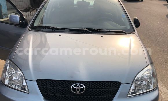 Acheter Occasion Voiture Toyota Corolla Gris à Douala, Littoral Cameroon