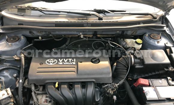 Acheter Occasion Voiture Toyota Corolla Gris à Douala, Littoral Cameroon Acheter Occasion Voiture Toyota Corolla Gris à Douala, Littoral Cameroon
