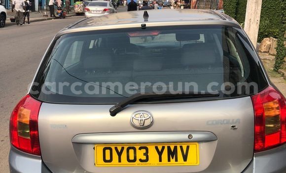 Acheter Occasion Voiture Toyota Corolla Gris à Douala, Littoral Cameroon Acheter Occasion Voiture Toyota Corolla Gris à Douala, Littoral Cameroon