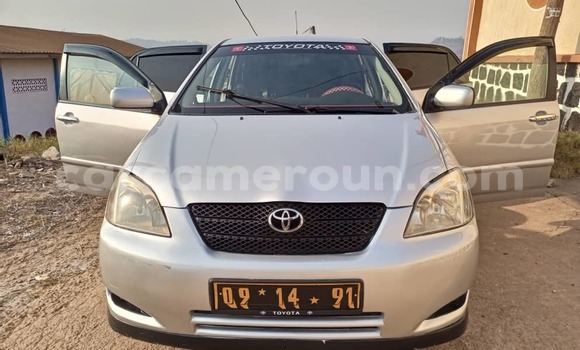 Buy Used Toyota Corolla Silver Car in Yaounde in Central Cameroon