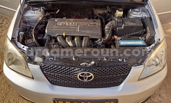 Sayi Na hannu Toyota Corolla Azurfa Mota in Yaounde a Babban Kamaru Sayi Na hannu Toyota Corolla Azurfa Mota in Yaounde a Babban Kamaru