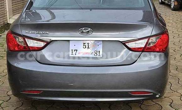 Buy Used Hyundai Sonata Silver Car in Yaounde in Central Cameroon