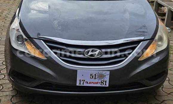Buy Used Hyundai Sonata Silver Car in Yaounde in Central Cameroon Buy Used Hyundai Sonata Silver Car in Yaounde in Central Cameroon