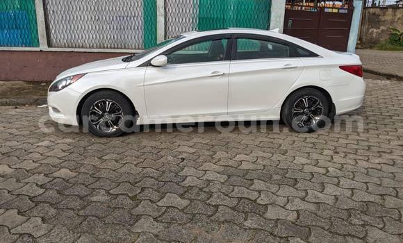 Acheter Occasion Voiture Hyundai Sonata Blanc à Douala, Littoral Cameroon Acheter Occasion Voiture Hyundai Sonata Blanc à Douala, Littoral Cameroon