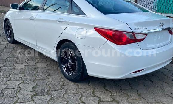 Acheter Occasion Voiture Hyundai Sonata Blanc à Douala, Littoral Cameroon Acheter Occasion Voiture Hyundai Sonata Blanc à Douala, Littoral Cameroon