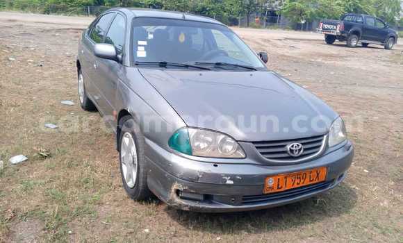 Buy Used Toyota Avensis Silver Car in Douala in Littoral Cameroon