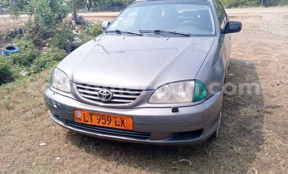 Sayi Na hannu Toyota Avensis Azurfa Mota in Douala a Ƙasar Kamaru Sayi Na hannu Toyota Avensis Azurfa Mota in Douala a Ƙasar Kamaru
