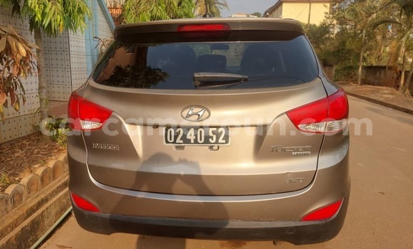 Buy Used Hyundai Tucson Silver Car in Yaounde in Central Cameroon Buy Used Hyundai Tucson Silver Car in Yaounde in Central Cameroon