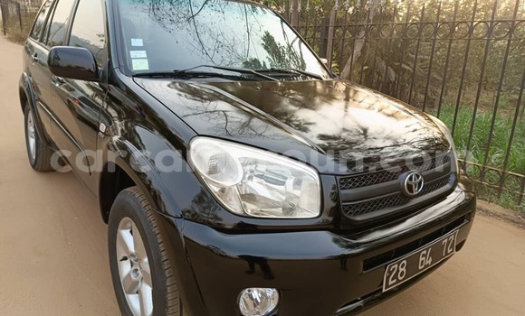 Buy Used Toyota RAV4 Black Car in Yaounde in Central Cameroon Buy Used Toyota RAV4 Black Car in Yaounde in Central Cameroon