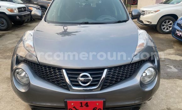 Acheter Occasion Voiture Nissan Juke Gris à Douala, Littoral Cameroon Acheter Occasion Voiture Nissan Juke Gris à Douala, Littoral Cameroon