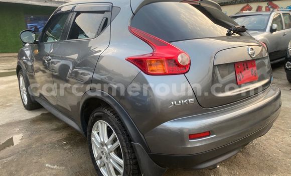 Acheter Occasion Voiture Nissan Juke Gris à Douala, Littoral Cameroon Acheter Occasion Voiture Nissan Juke Gris à Douala, Littoral Cameroon