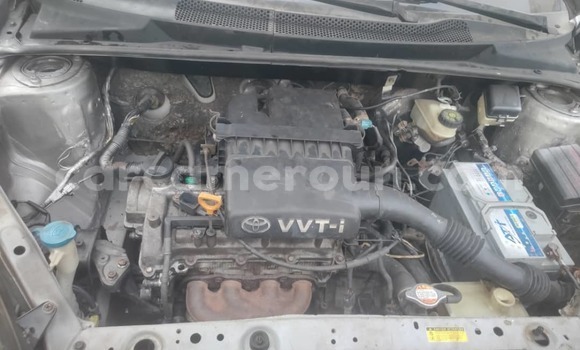 Acheter Occasion Voiture Toyota Yaris Gris à Douala, Littoral Cameroon Acheter Occasion Voiture Toyota Yaris Gris à Douala, Littoral Cameroon