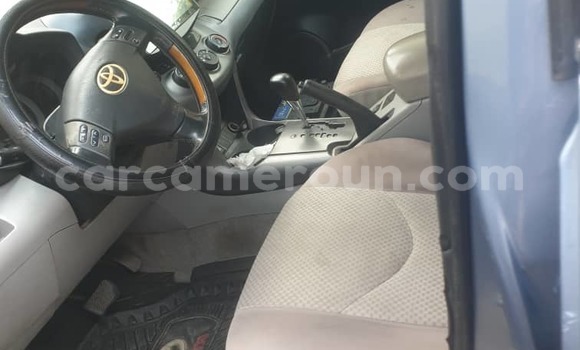 Sayi Na hannu Toyota RAV4 Blue Mota in Douala a Ƙasar Kamaru Sayi Na hannu Toyota RAV4 Blue Mota in Douala a Ƙasar Kamaru