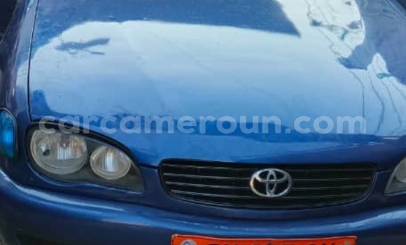 Acheter Occasion Voiture Toyota Corolla Bleu à Douala, Littoral Cameroon