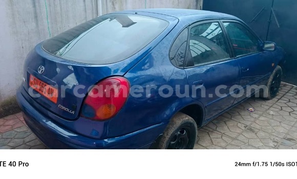 Acheter Occasion Voiture Toyota Corolla Bleu à Douala, Littoral Cameroon Acheter Occasion Voiture Toyota Corolla Bleu à Douala, Littoral Cameroon