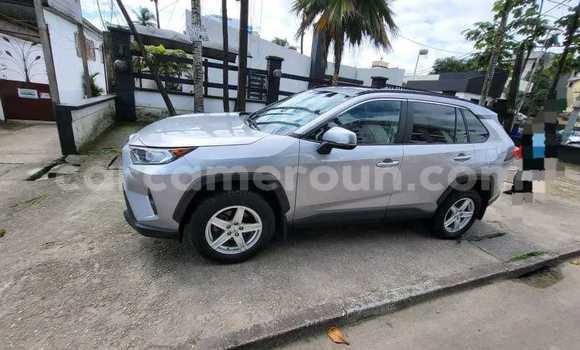 Acheter Neuf Voiture Toyota RAV4 Gris à Douala, Littoral Cameroon