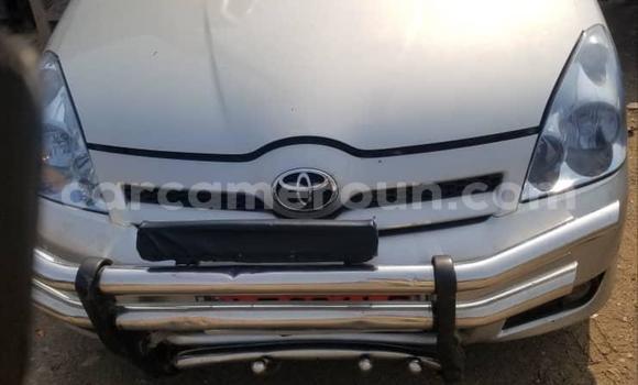 Acheter Occasion Voiture Toyota Corolla Verso Gris à Douala, Littoral Cameroon