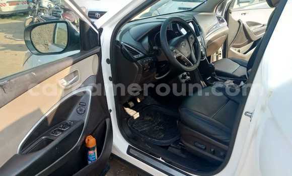 Acheter Occasion Voiture Hyundai Santa Fe Blanc à Douala, Littoral Cameroon Acheter Occasion Voiture Hyundai Santa Fe Blanc à Douala, Littoral Cameroon
