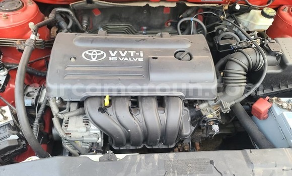 Sayi Na hannu Toyota Corolla Red Mota in Douala a Ƙasar Kamaru Sayi Na hannu Toyota Corolla Red Mota in Douala a Ƙasar Kamaru