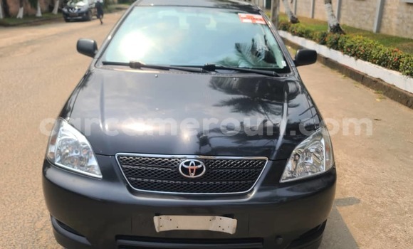 Acheter Occasion Voiture Toyota Corolla Noir à Douala, Littoral Cameroon